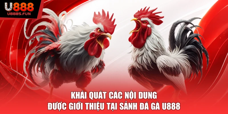 Khái quát các nội dung được giới thiệu tại sảnh đá gà U888
