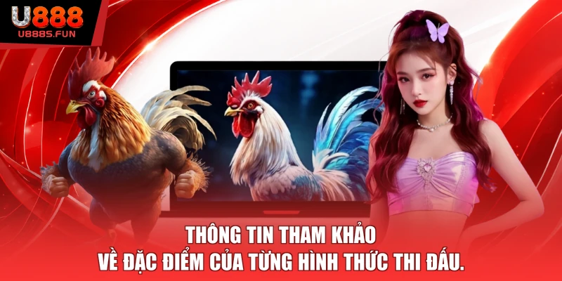 Thông tin tham khảo về đặc điểm của từng hình thức thi đấu.